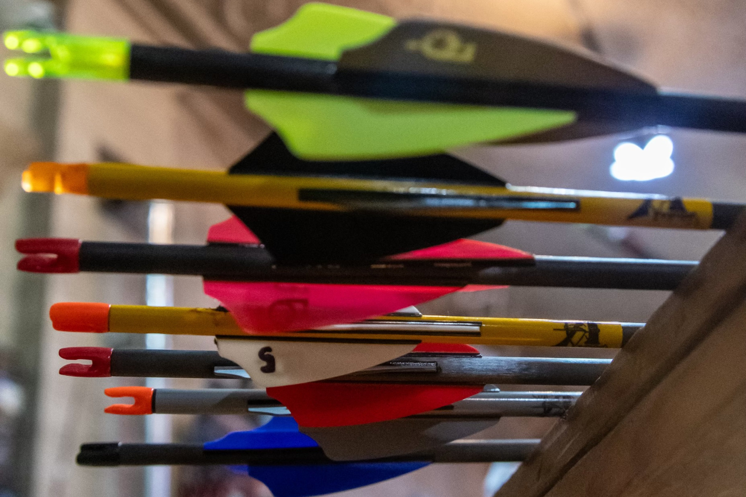 Close-up of arrow fletching